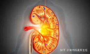 开元棋牌-拜仁慕尼黑关键时刻官宣签约莱比锡围绕欧超杯完成体检，华盛顿奇才窗口期篮板制胜看傻球迷的简单介绍